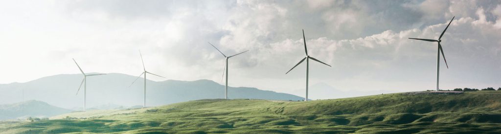 A field with wind turbines
