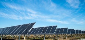 Solar panel farm, close up to panels